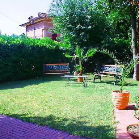 Palmira